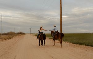 brand photography for small farm