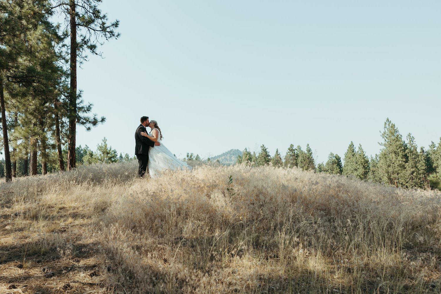Wedding couple standing on dried grass hill with forest and mountains behind them.