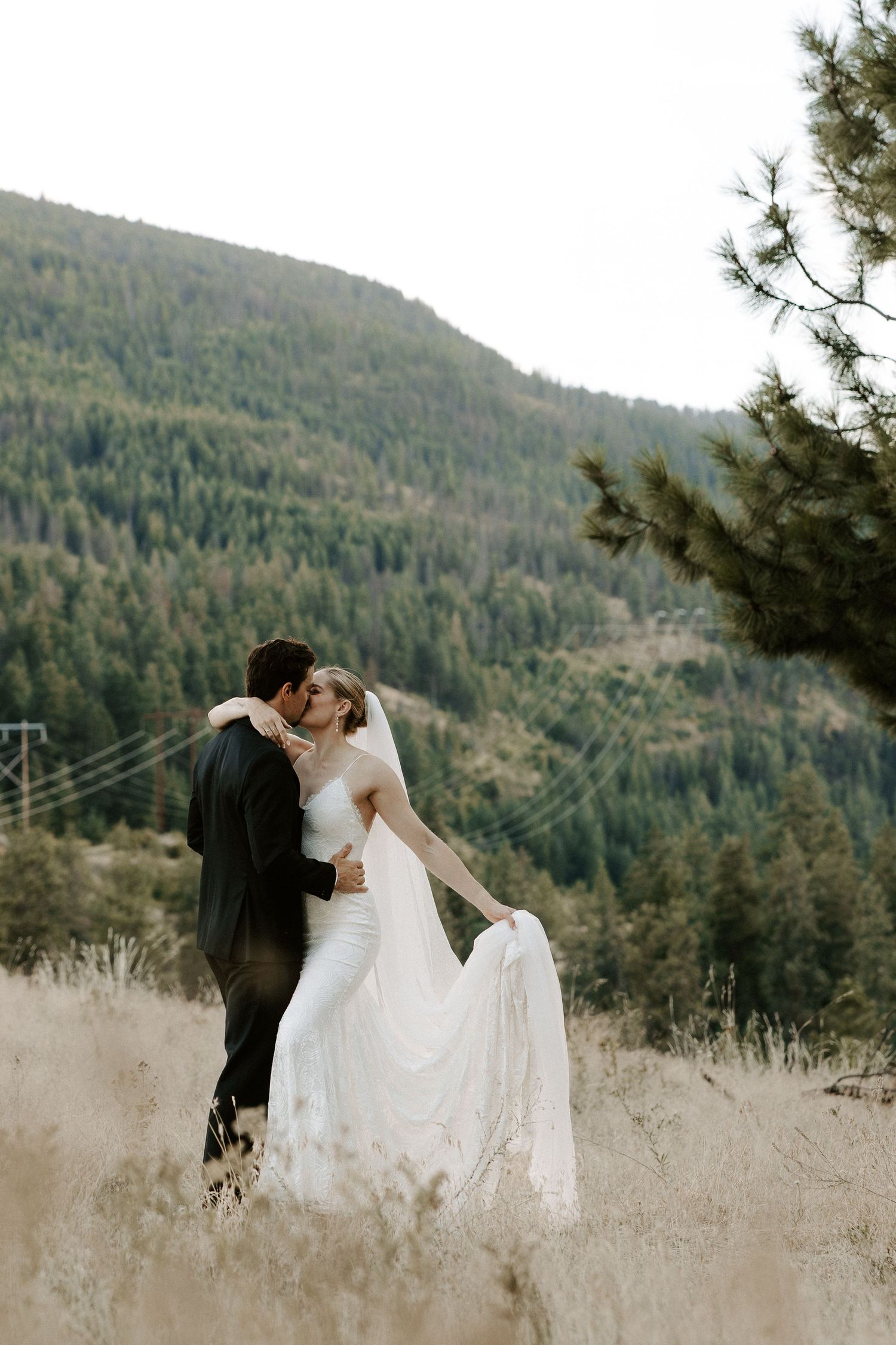 A romantic wedding couple shares tender moments in a mountain meadow surrounded by evergreen forests and tall grass.
