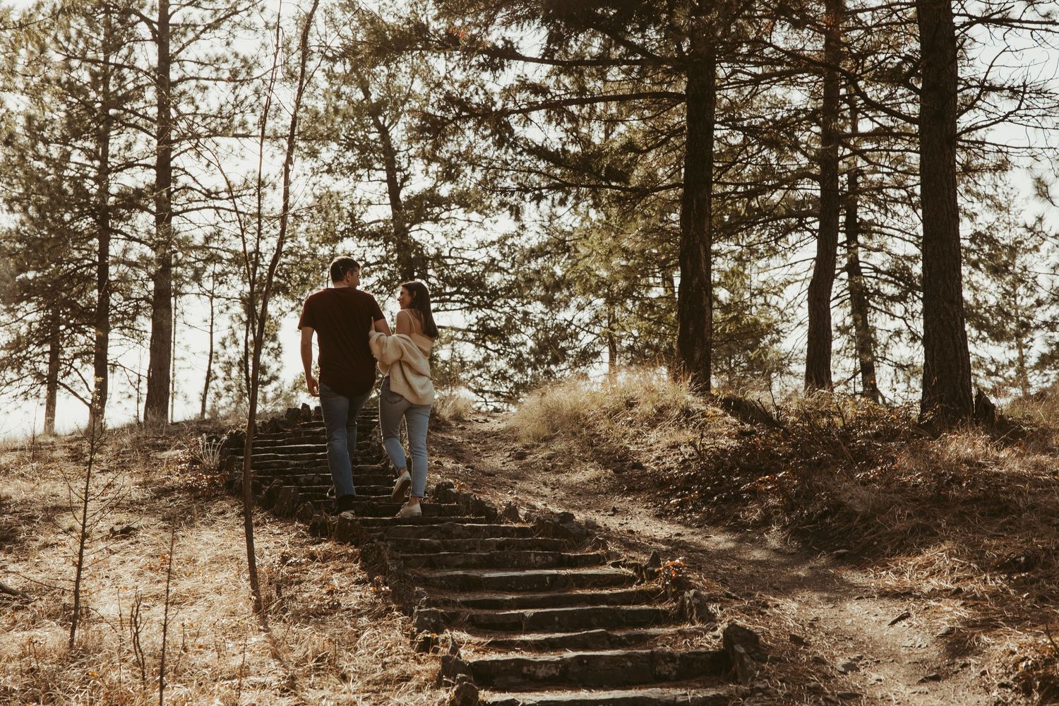 Couple ascending rustic wooden stairs through a pine forest path.