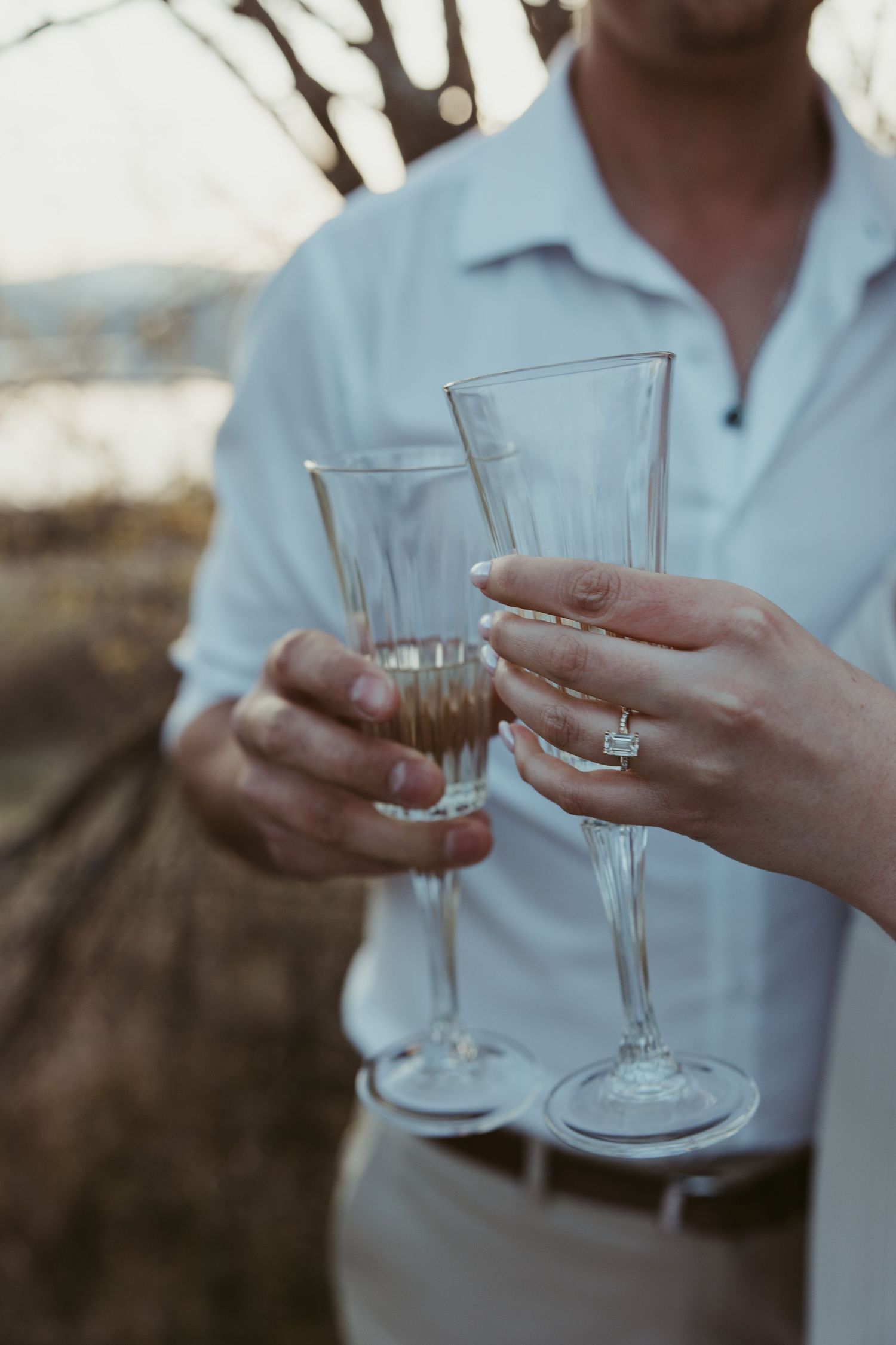 Two champagne glasses being held up in celebration against a blurred natural backdrop.