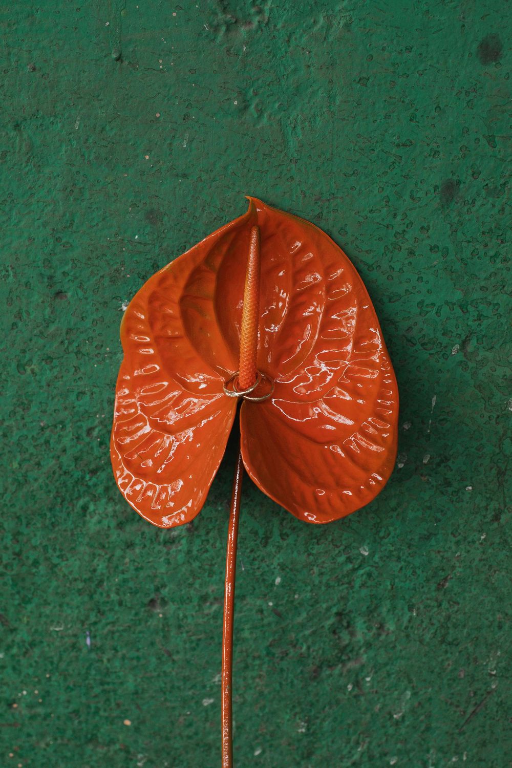 Close-up of a heart-shaped red leaf against a textured green background.
