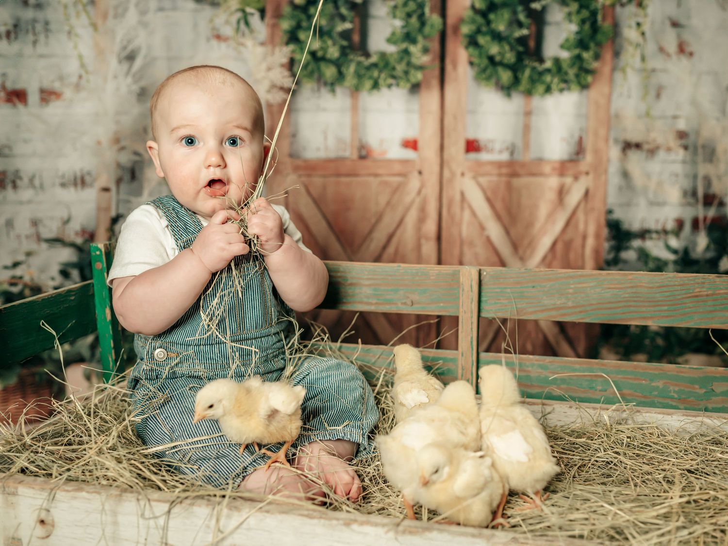 Baby playing with chicks in a studio portrait, celebrating Easter with a sweet and playful moment.