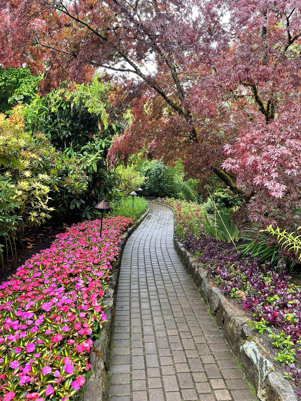 Brick pathway that is surrounded by colourful plants, flowers, and trees.