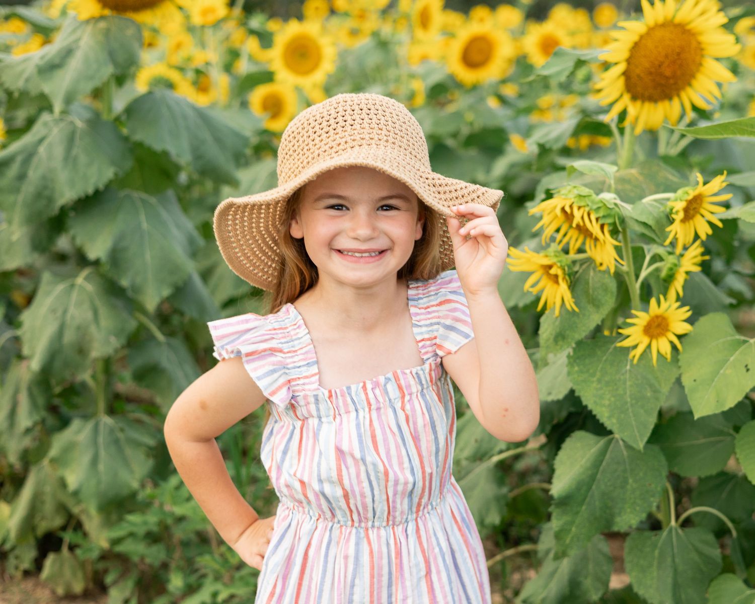 Cheerful scene in sunflower field with striped summer dress and straw hat.