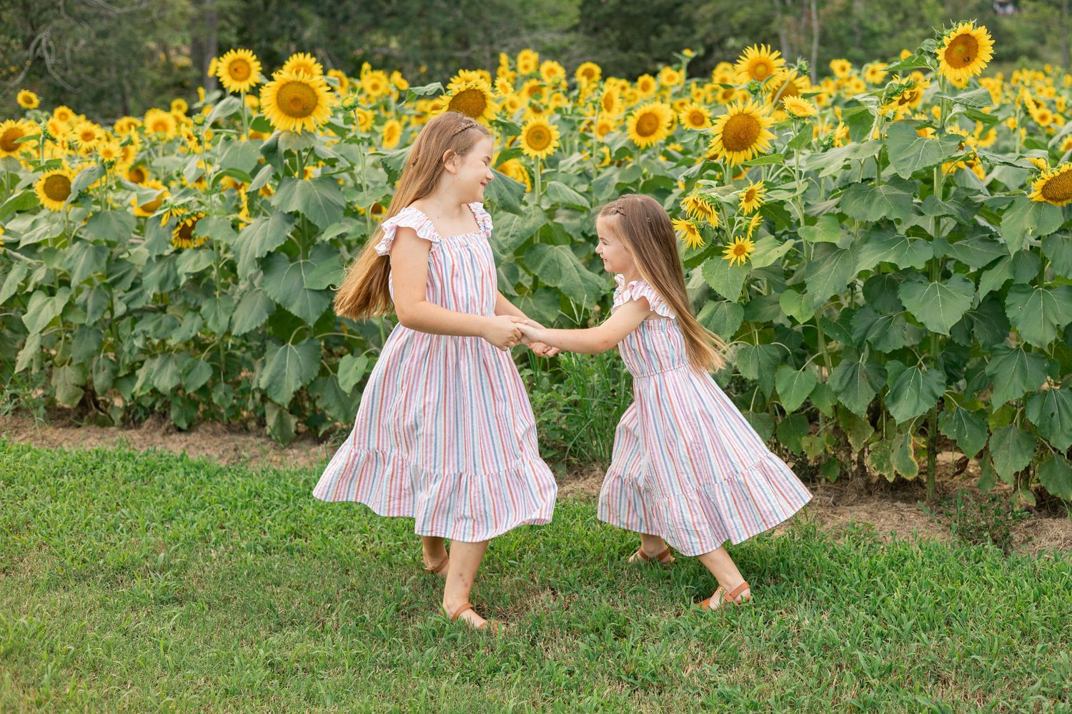 Two people in matching dresses dance through a field of towering sunflowers.