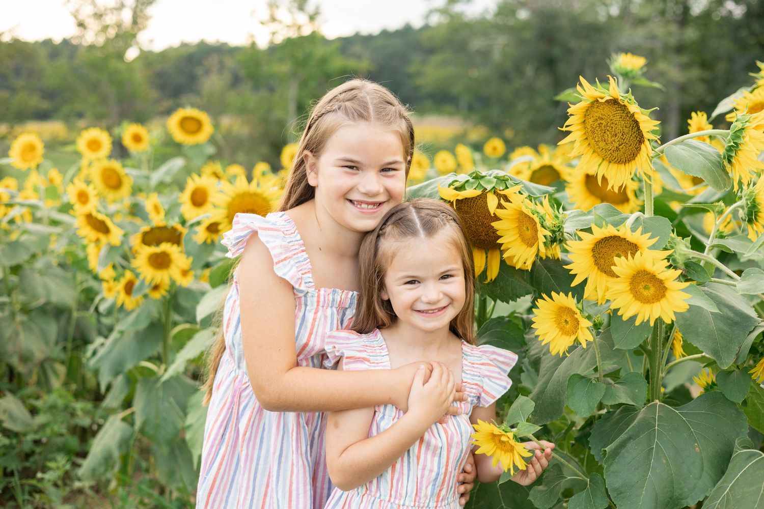 Joyful moments captured in a vibrant sunflower field wearing summer attire.