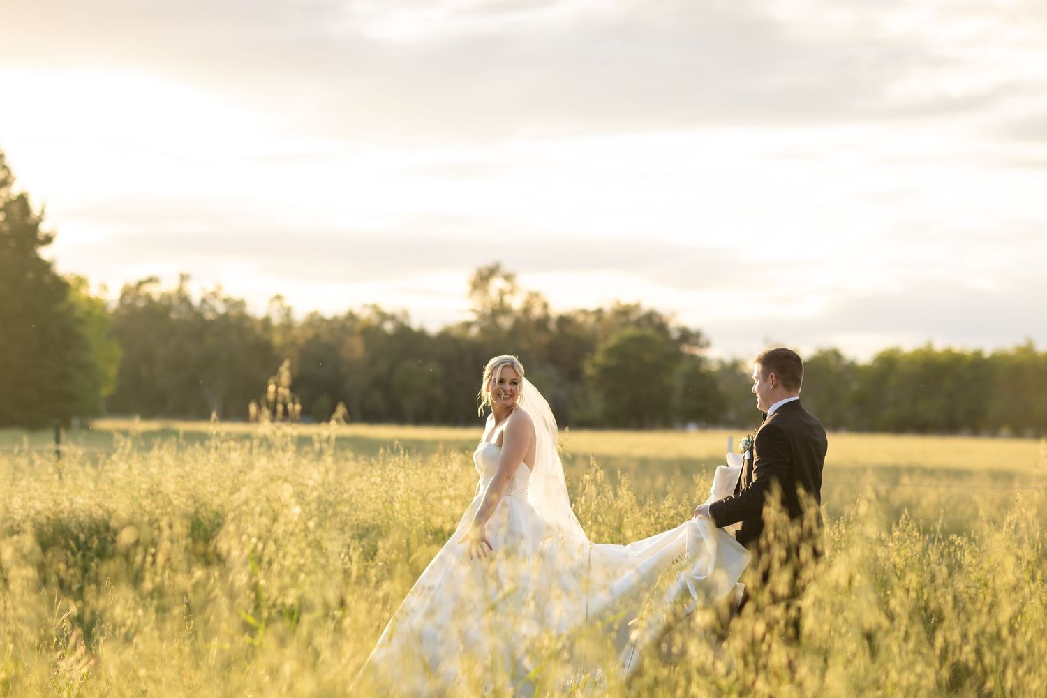A couple holds hands in a golden field during sunset as the bride's white veil flows in the breeze. Norcal ranch wedding photographer