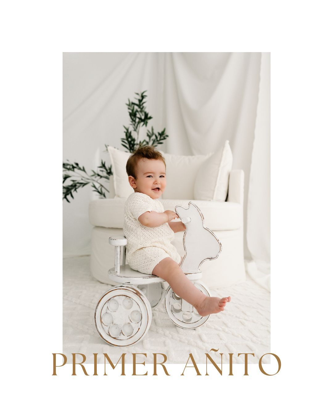 Baby in white dress sitting in woven Moses basket against white background.
