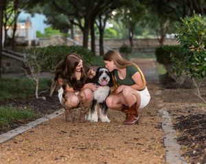 Two people crouching on a dirt path in a park with their black and white dog on a sunny day.