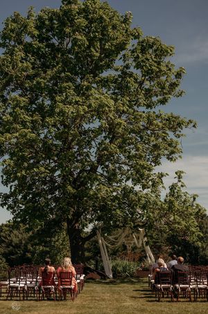 Outdoor wedding ceremony setup with wooden chairs on green lawn beneath a large shade tree on a sunny day.