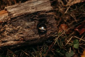 Wedding rings resting in a crevice of rustic weathered wood surrounded by autumn leaves and grass.