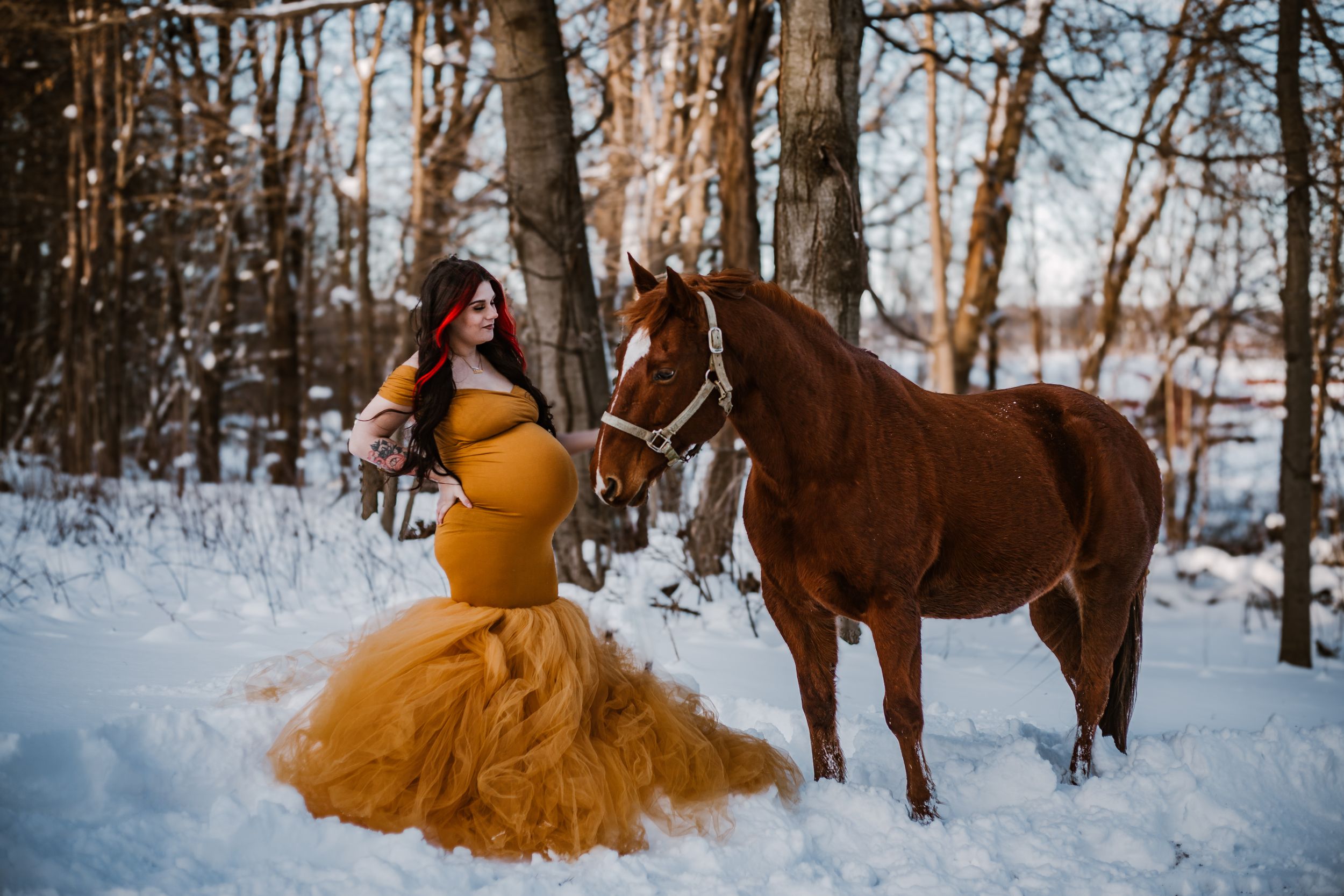 Maternity + Equine