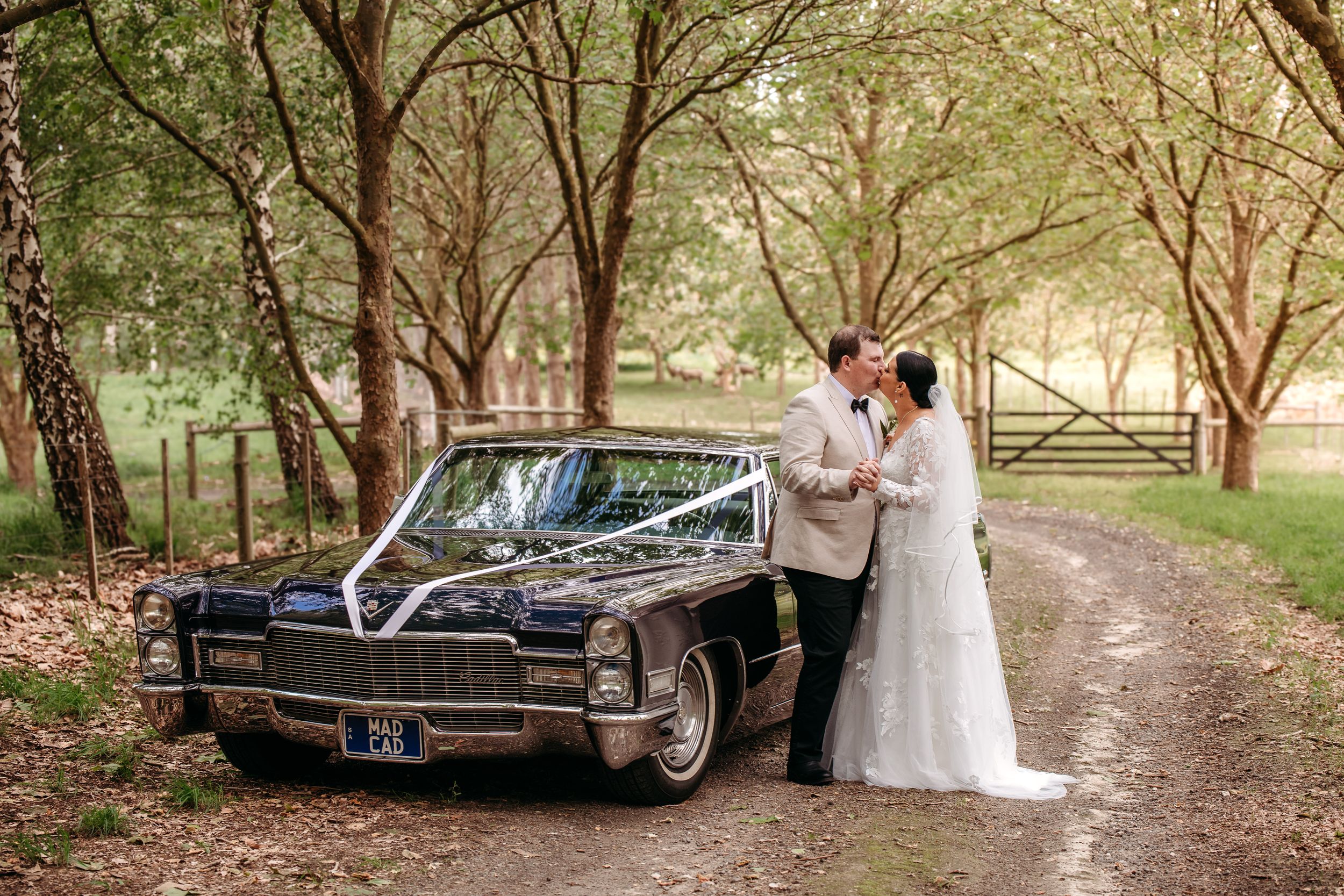 Amanda Lengyel Photography — photo 11 of 18