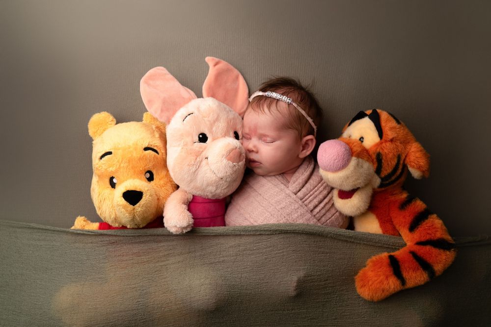 A row of plush stuffed animals including Winnie the Pooh, Piglet, and Tigger arranged on a dark surface.