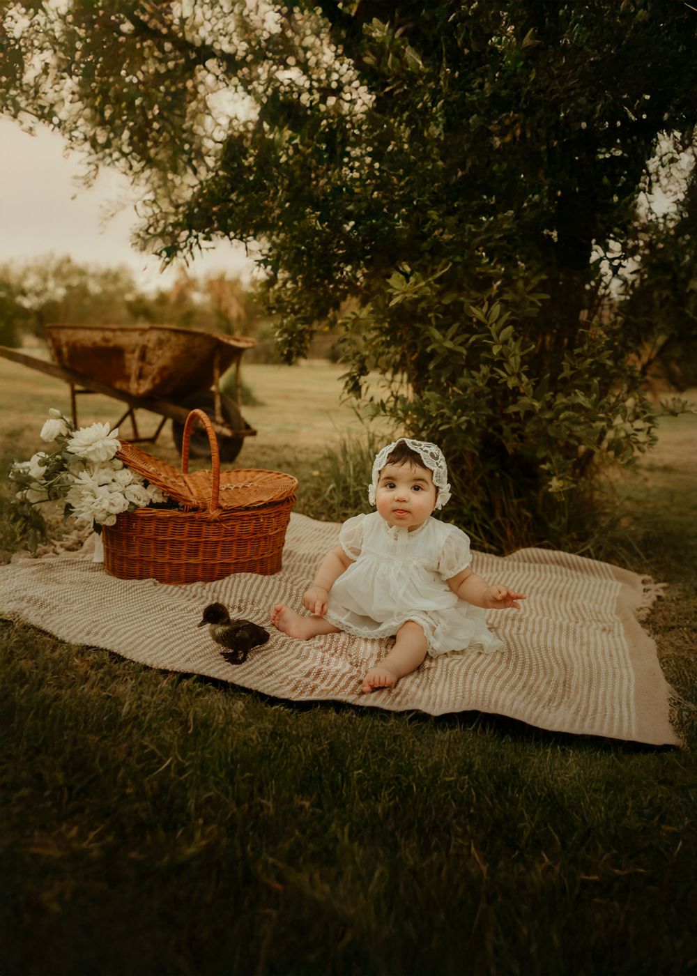 Baby girl in white dress and bow headband sits on striped blanket near wicker basket and duckling outdoors.