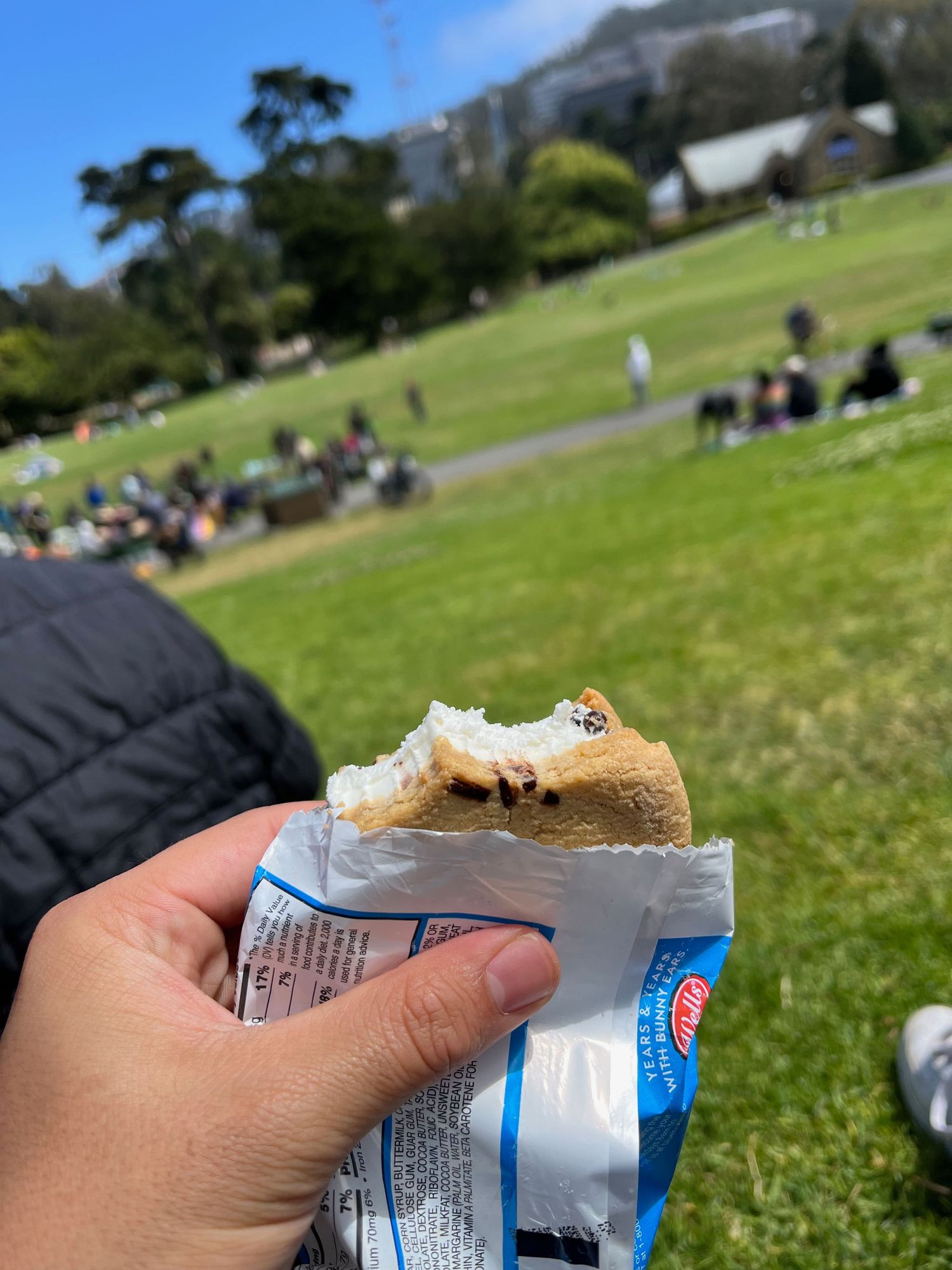 A snack wrapper held up against a grassy park background with mountains visible in the distance.