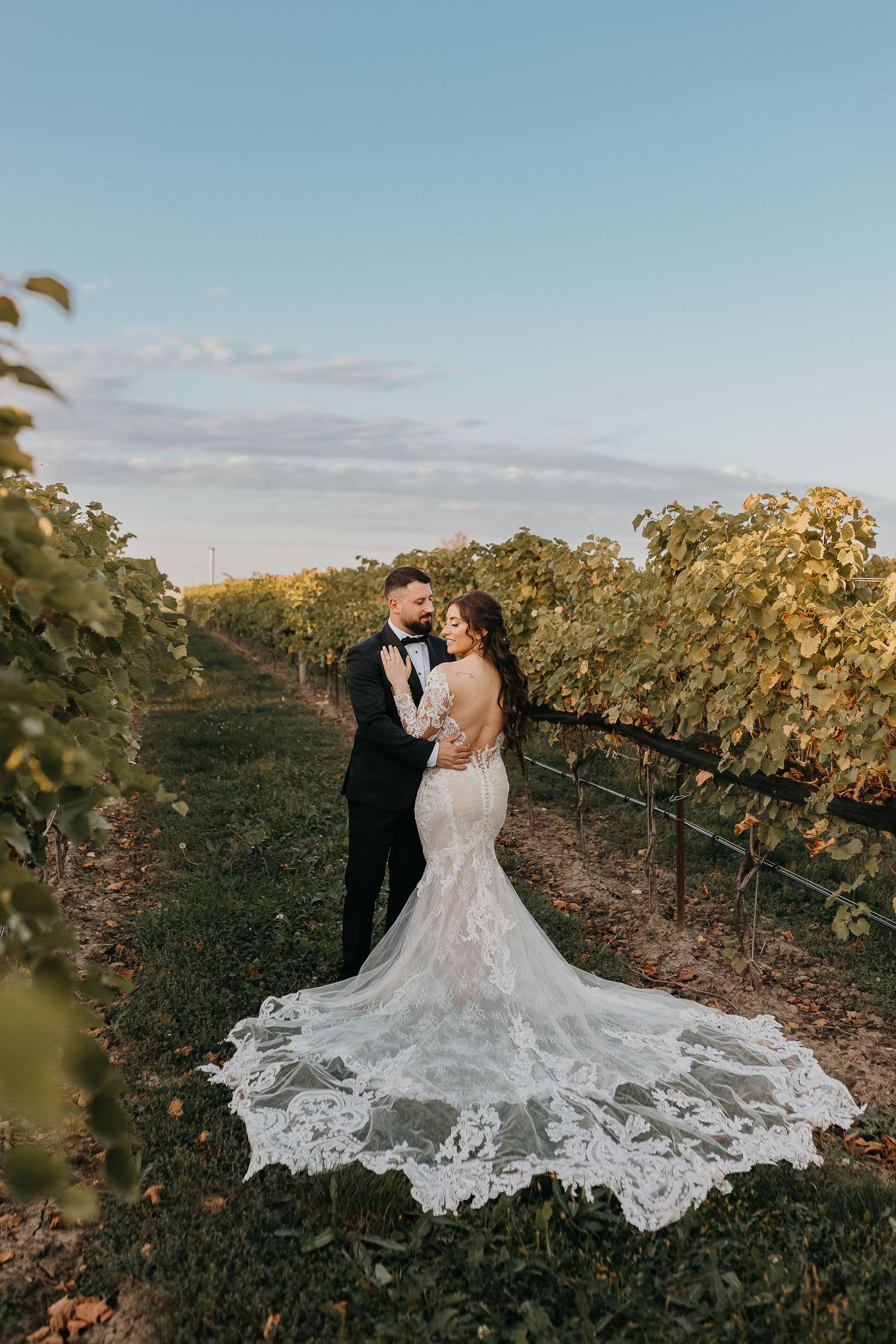 Romantic wedding photo of couple embracing in vineyard at sunset with stunning lace train.