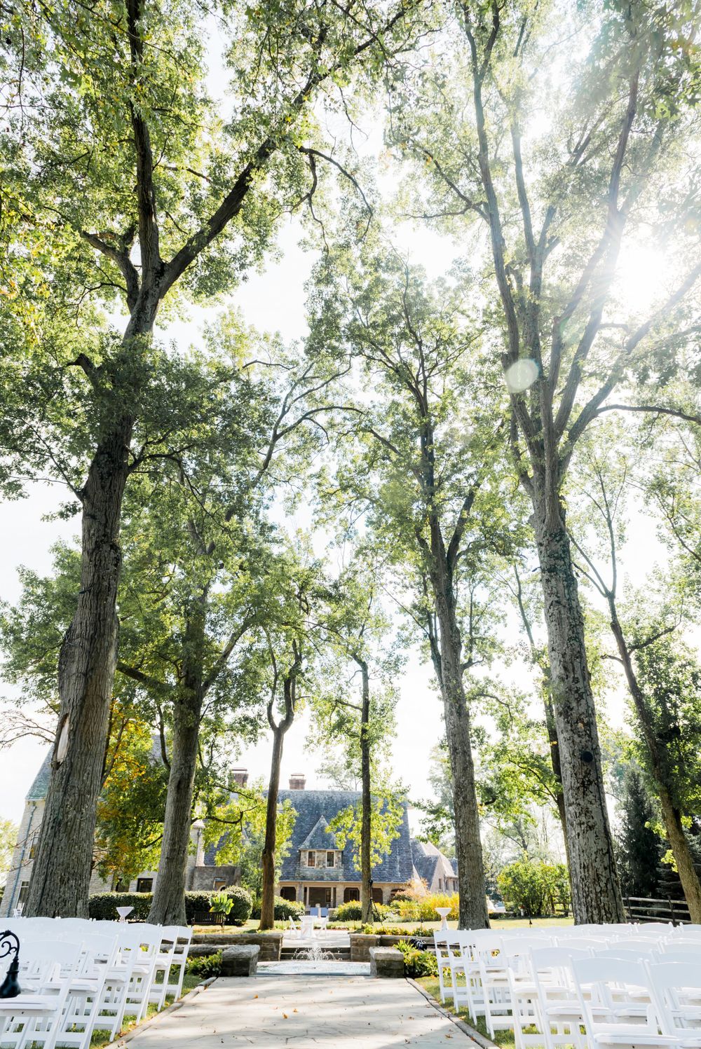 Majestic tall trees line an outdoor wedding ceremony aisle with white chairs.