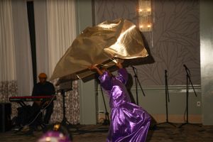 A dancer in a flowing purple gown performs on stage with dramatic lighting and fabric movement.
