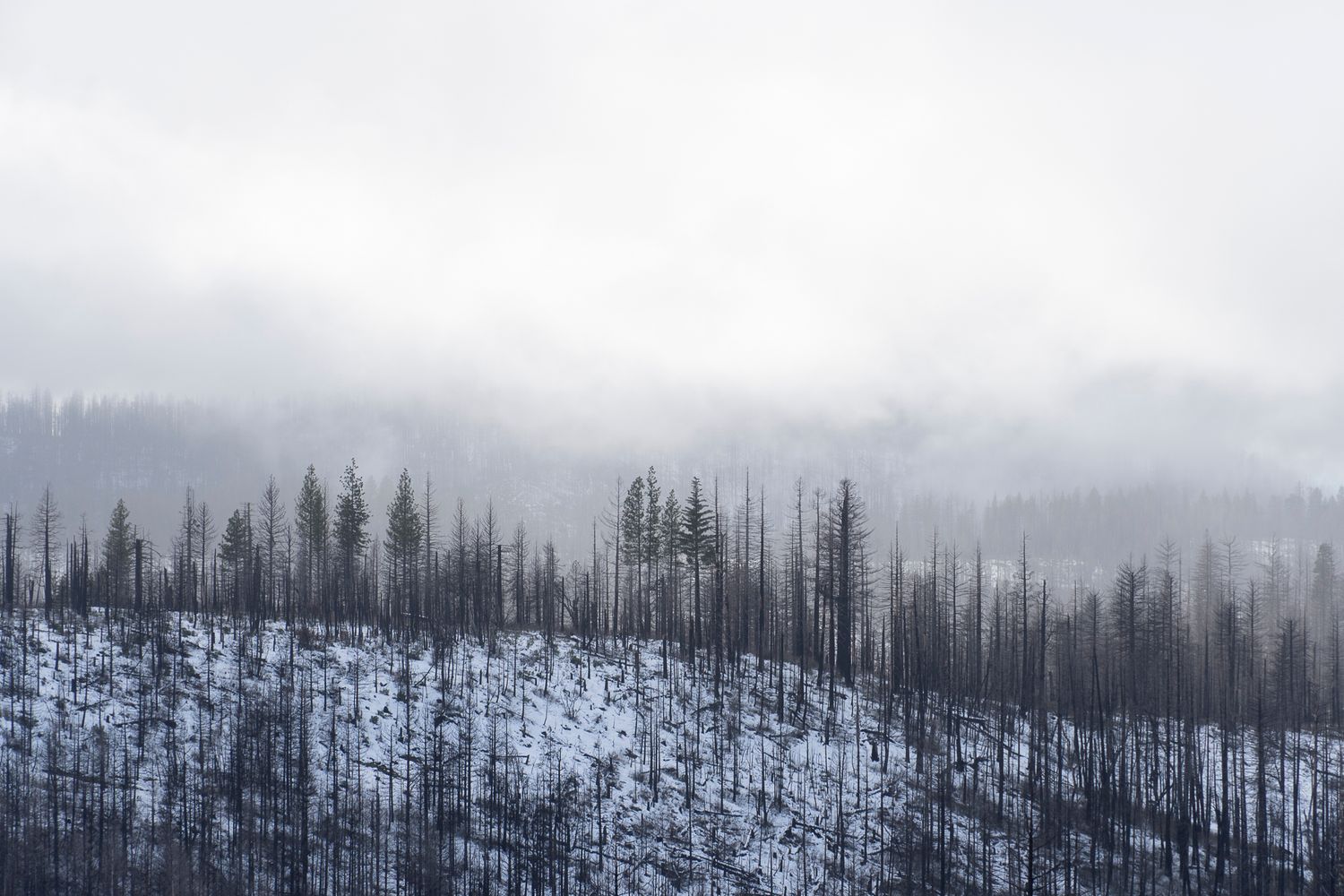 snow, nature, mountains