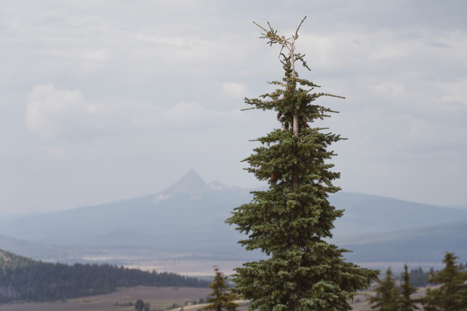 landscape, crater lake, tree, outdoors.