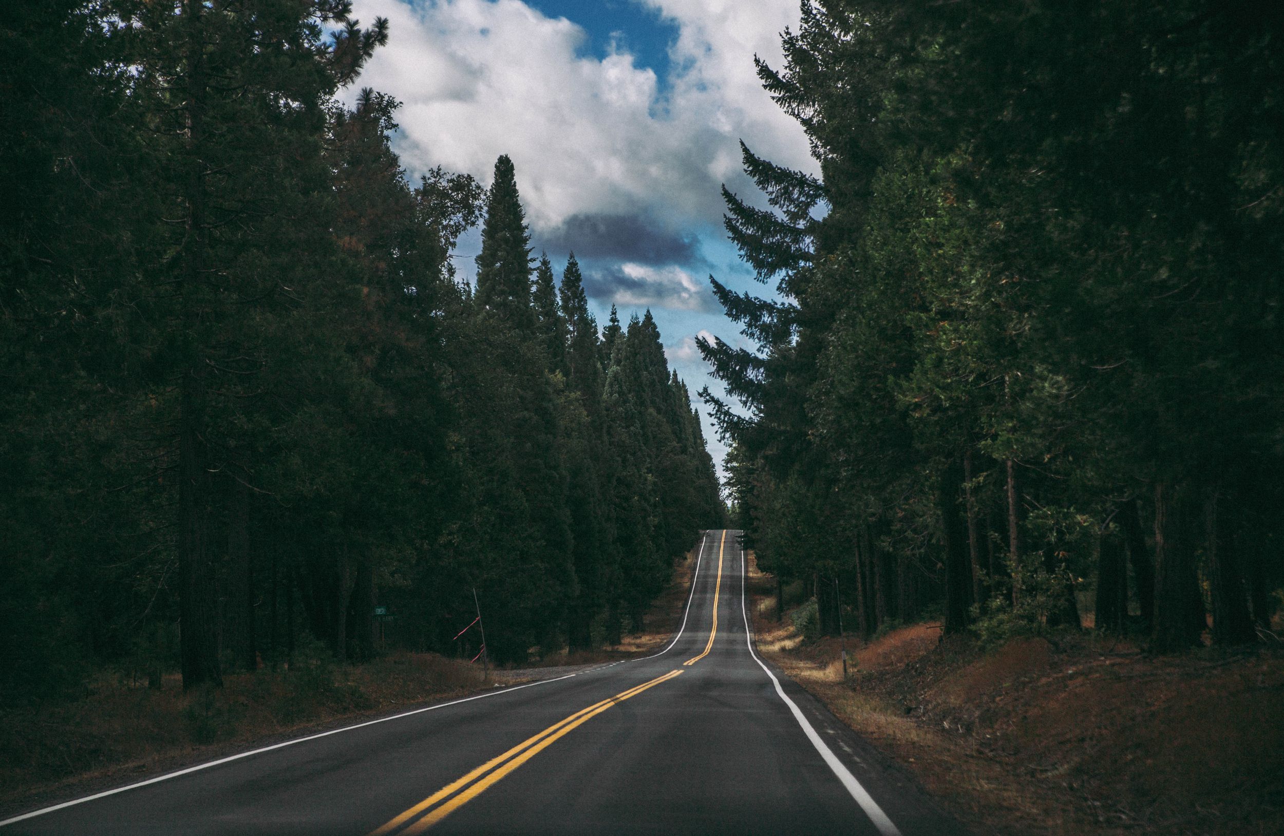A straight road leading to a hill surrounded by clouds and tall pine trees.