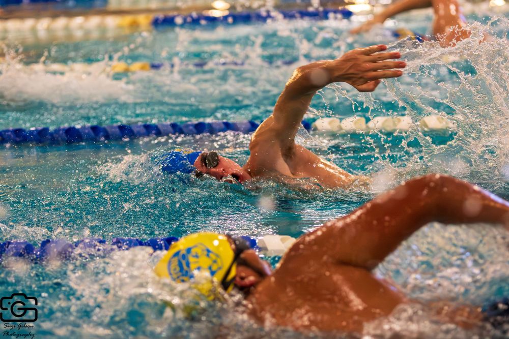 swim meet swimmers game action photo coverage maryland dmv suzi gibson photography