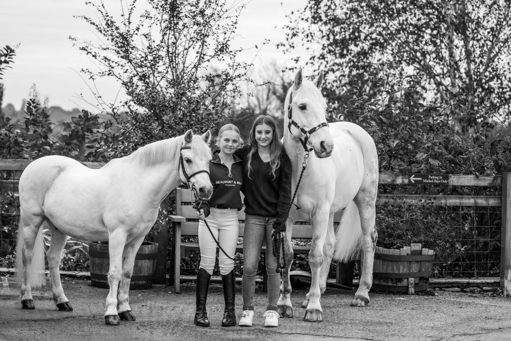 Equine Portfolio, Emma Laws Photography