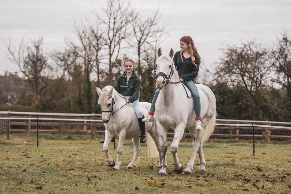 Equine Portfolio, Emma Laws Photography