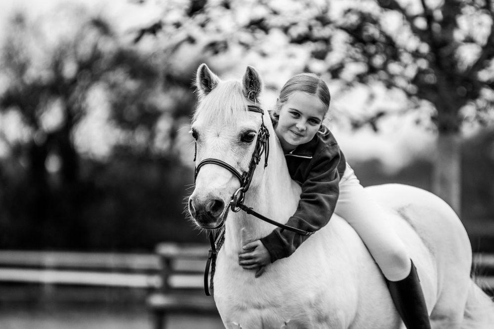 Equine Portfolio, Emma Laws Photography