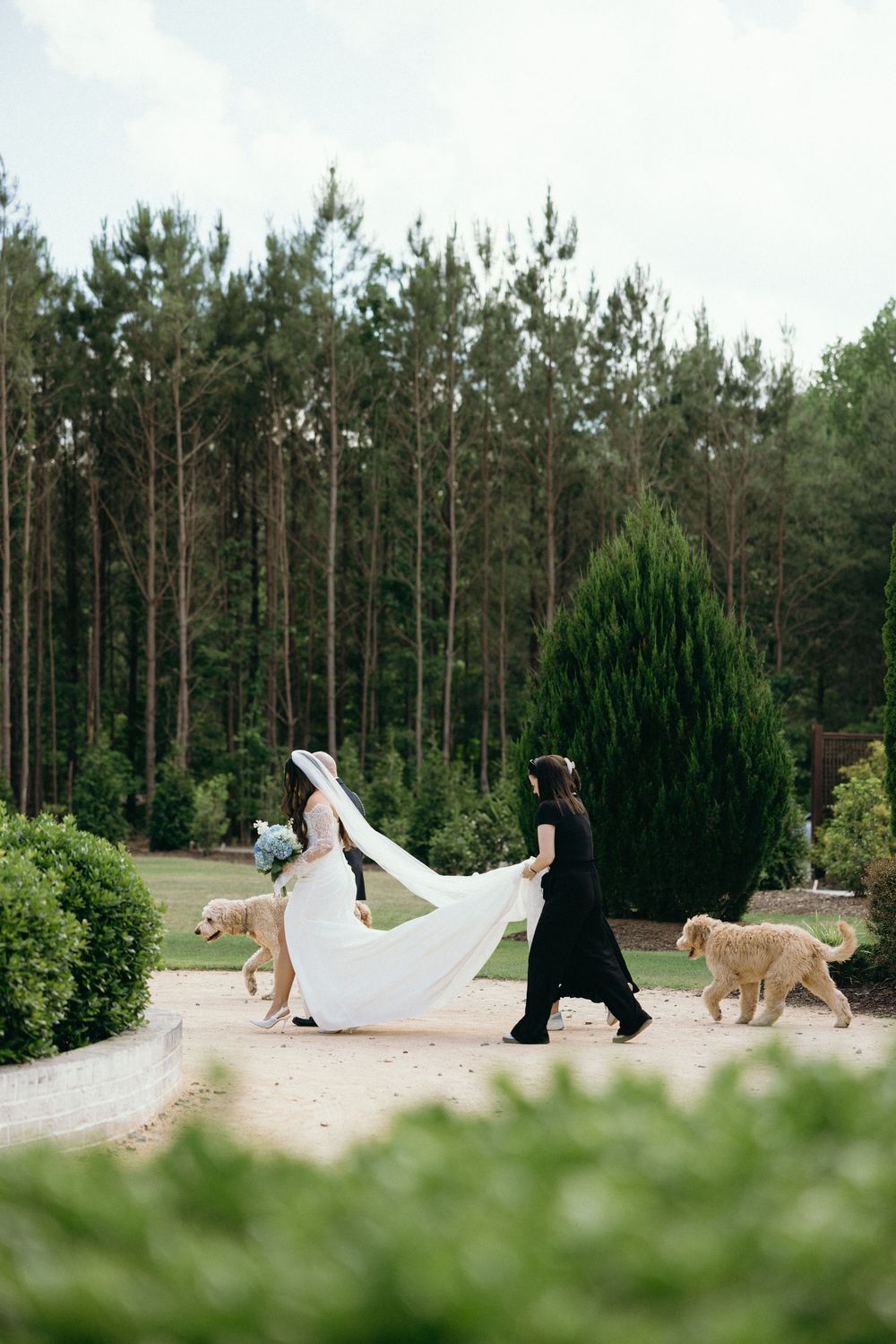 Two people walking dogs along a path with pine trees in the background. Best wedding photographer in Boone NC
Estate and historic venues