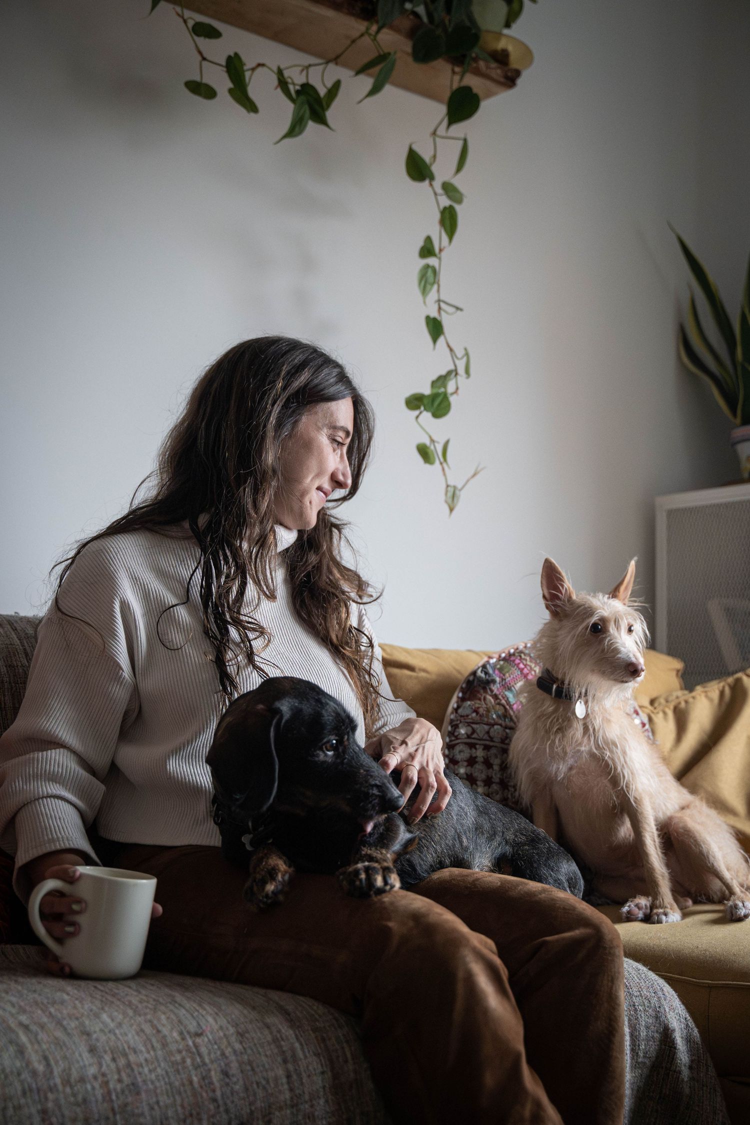 Fotografía de familia multiespecie en Madrid, perros