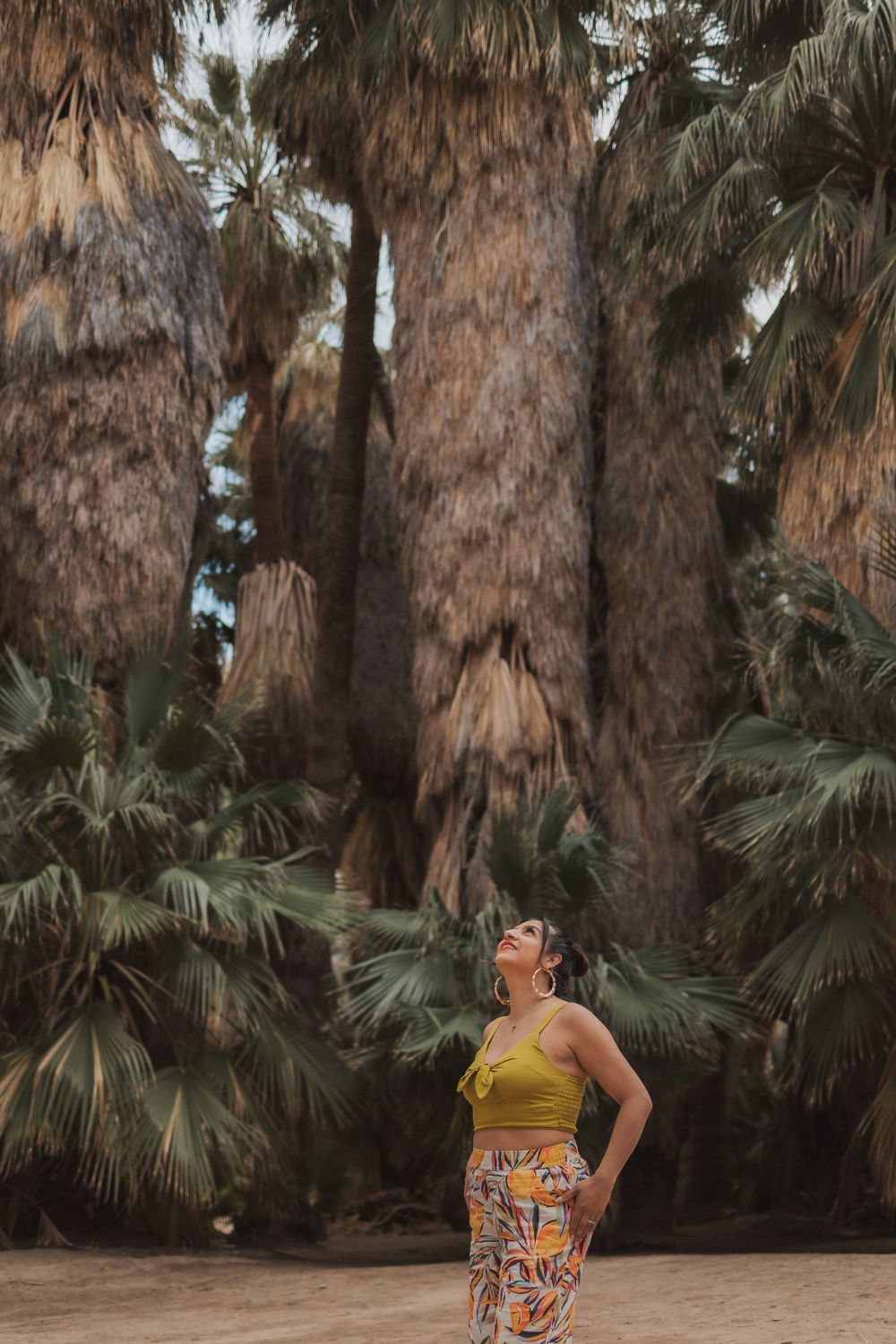 Someone gazes up at towering palm trees while wearing a yellow top and patterned pants.