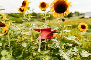 Red graduation cap placed among bright yellow sunflowers in a field on a cloudy day.