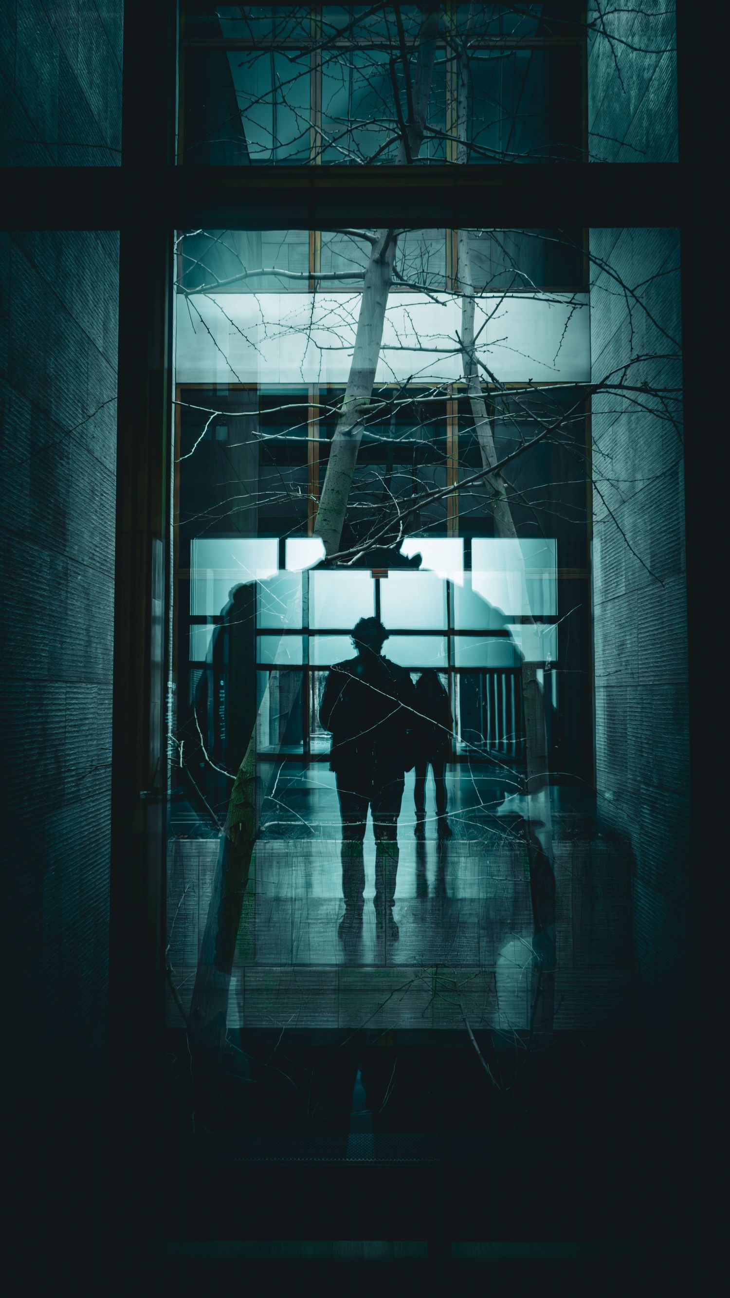 A dark silhouette stands in a misty, eerie corridor with dramatic blue lighting and cobwebs.