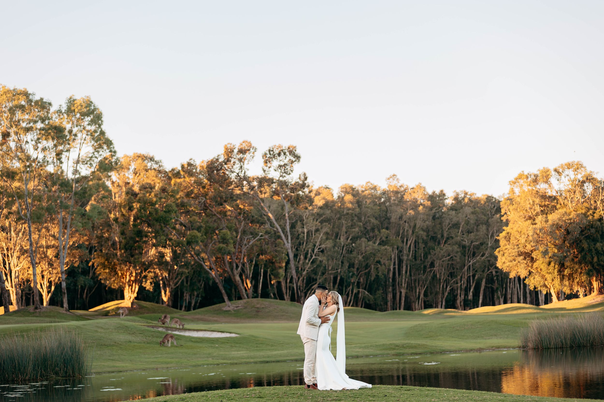 Golden hour wedding photos taken in a scenic park with eucalyptus trees.
