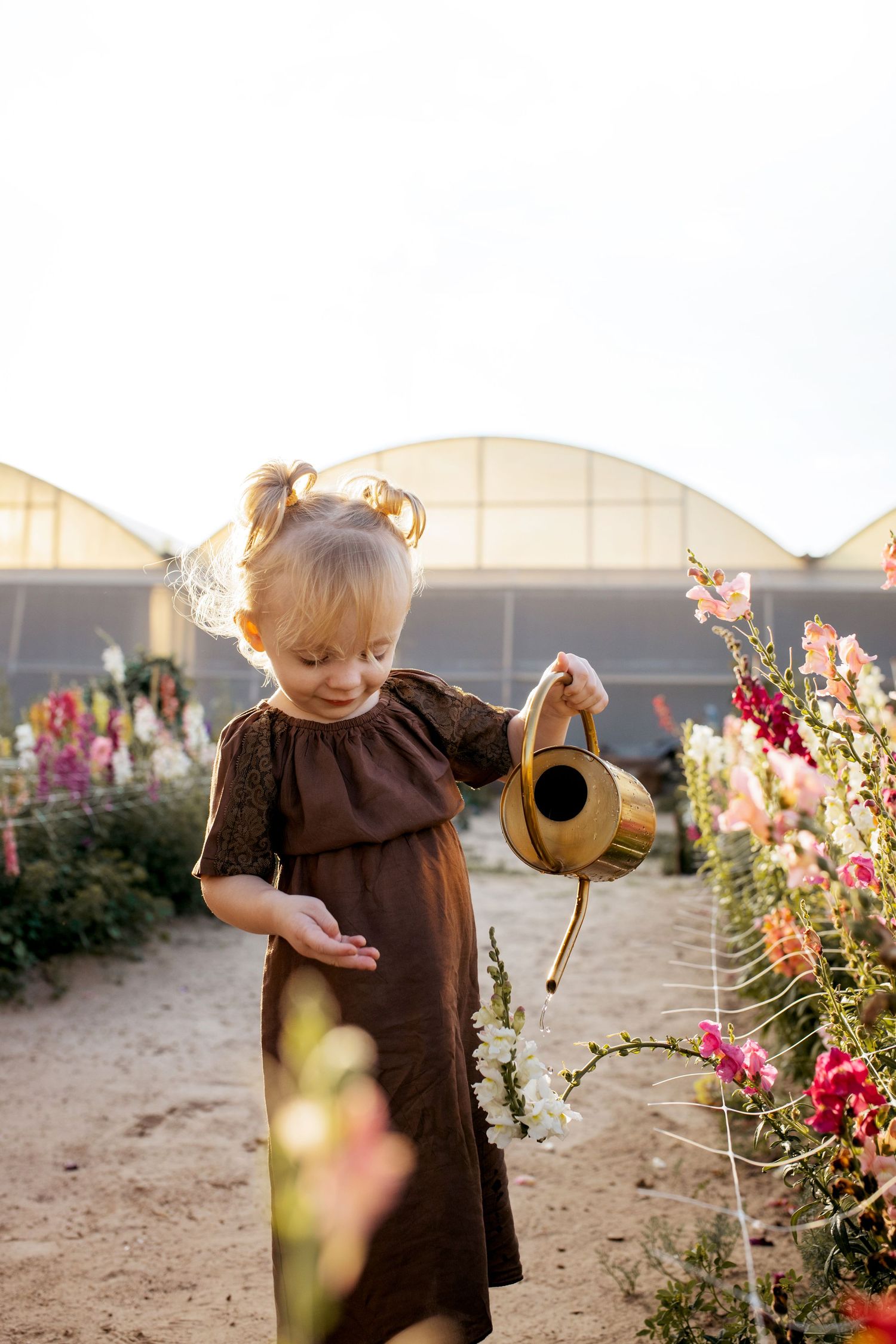Abu Dhabi family Photographer flower farm