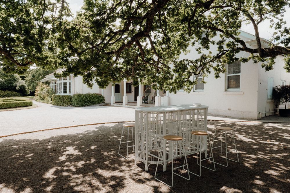 White chairs set up in rows for an outdoor ceremony under large shade trees.