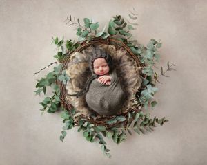 Newborn baby sleeping in rustic basket nest surrounded by eucalyptus leaves and greenery.