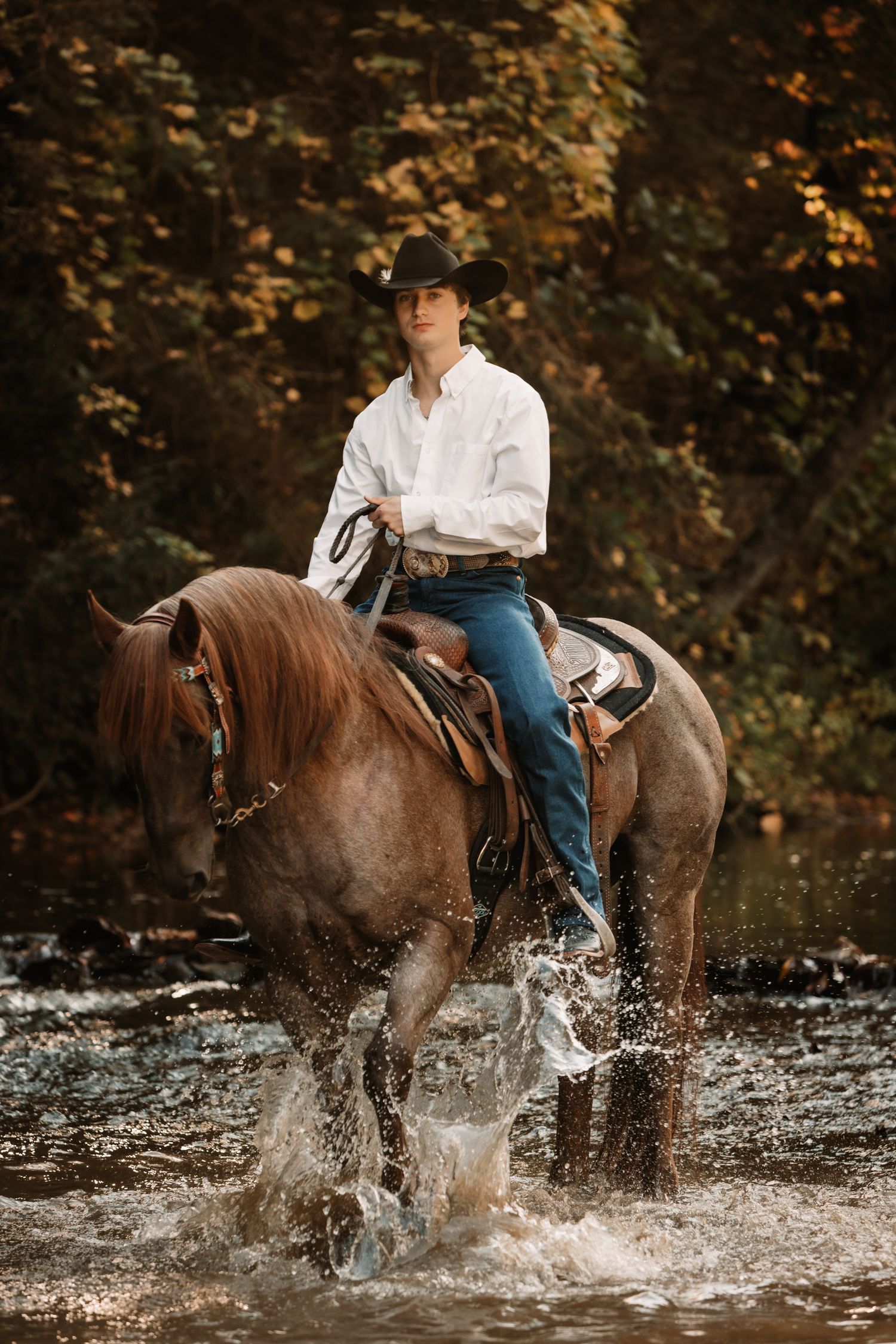 A sequence showing a horse and rider splashing through a creek with autumn foliage in the background.