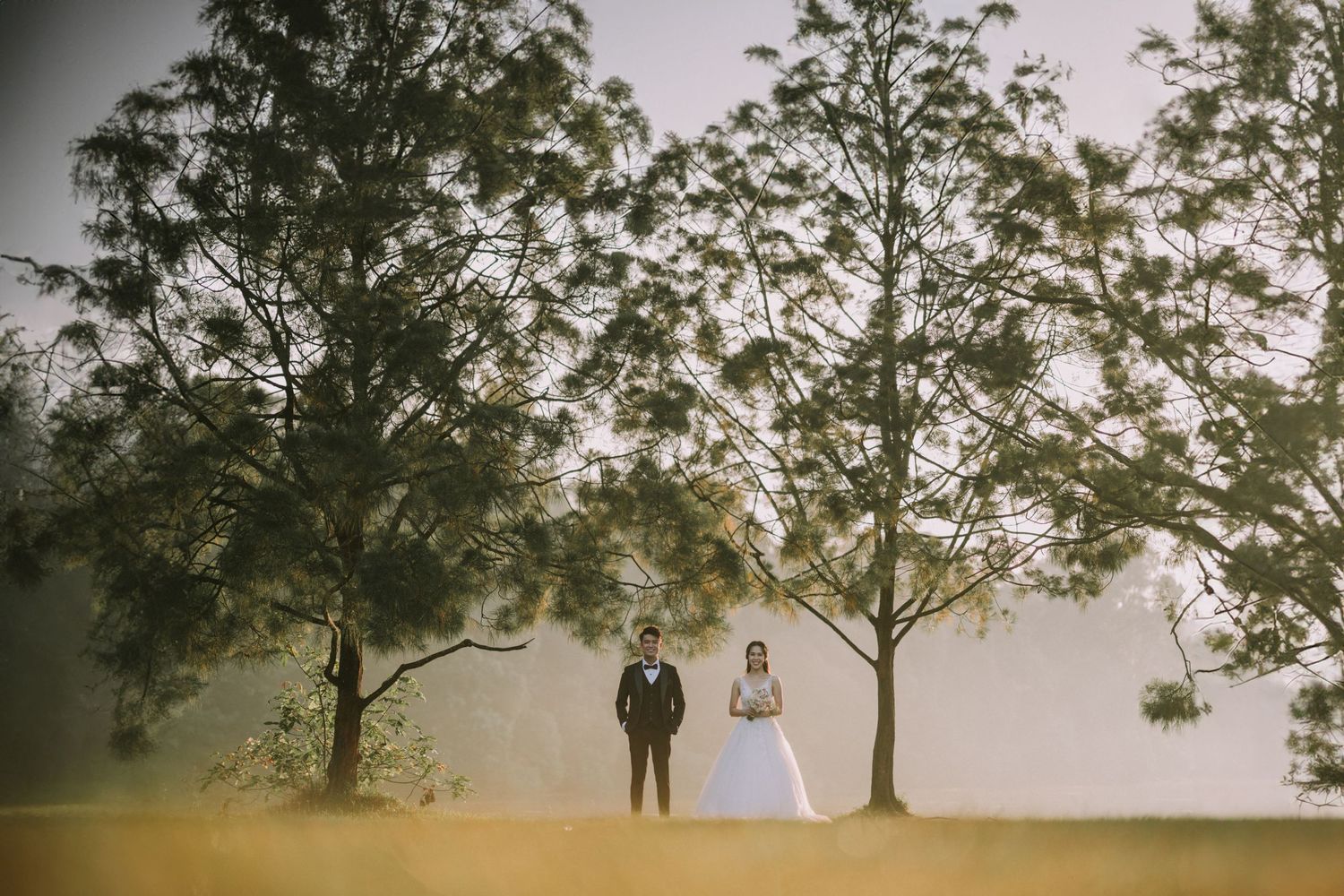 Wedding couple poses beneath tall trees in an outdoor setting during their photoshoot.