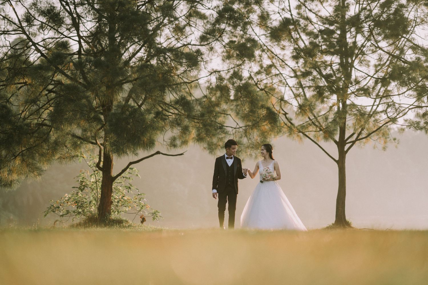 Silhouettes of a wedding couple stand between trees in a dreamy outdoor setting.