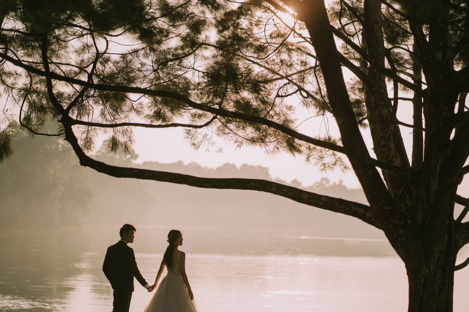 Silhouettes of a wedding couple under tall trees during sunset.