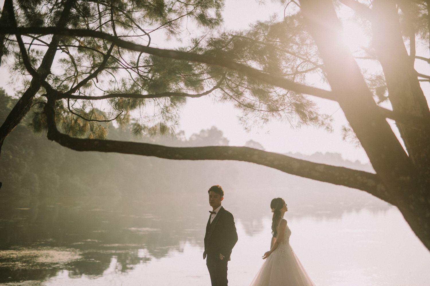 Silhouetted couple poses under tree branches with sunlight streaming through.