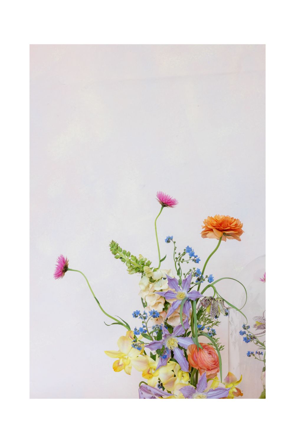 Delicate spring flowers including pink cosmos, orange marigolds, and blue forget-me-nots arranged against a light background.