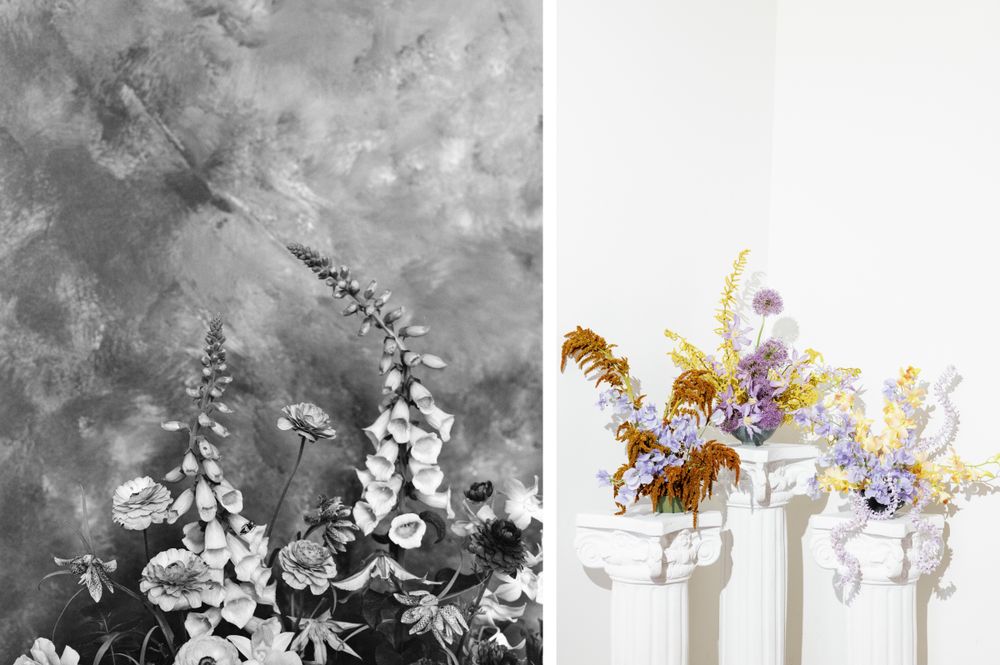 Side by side floral images showing black and white foxgloves and colorful wildflower arrangements in white vases.