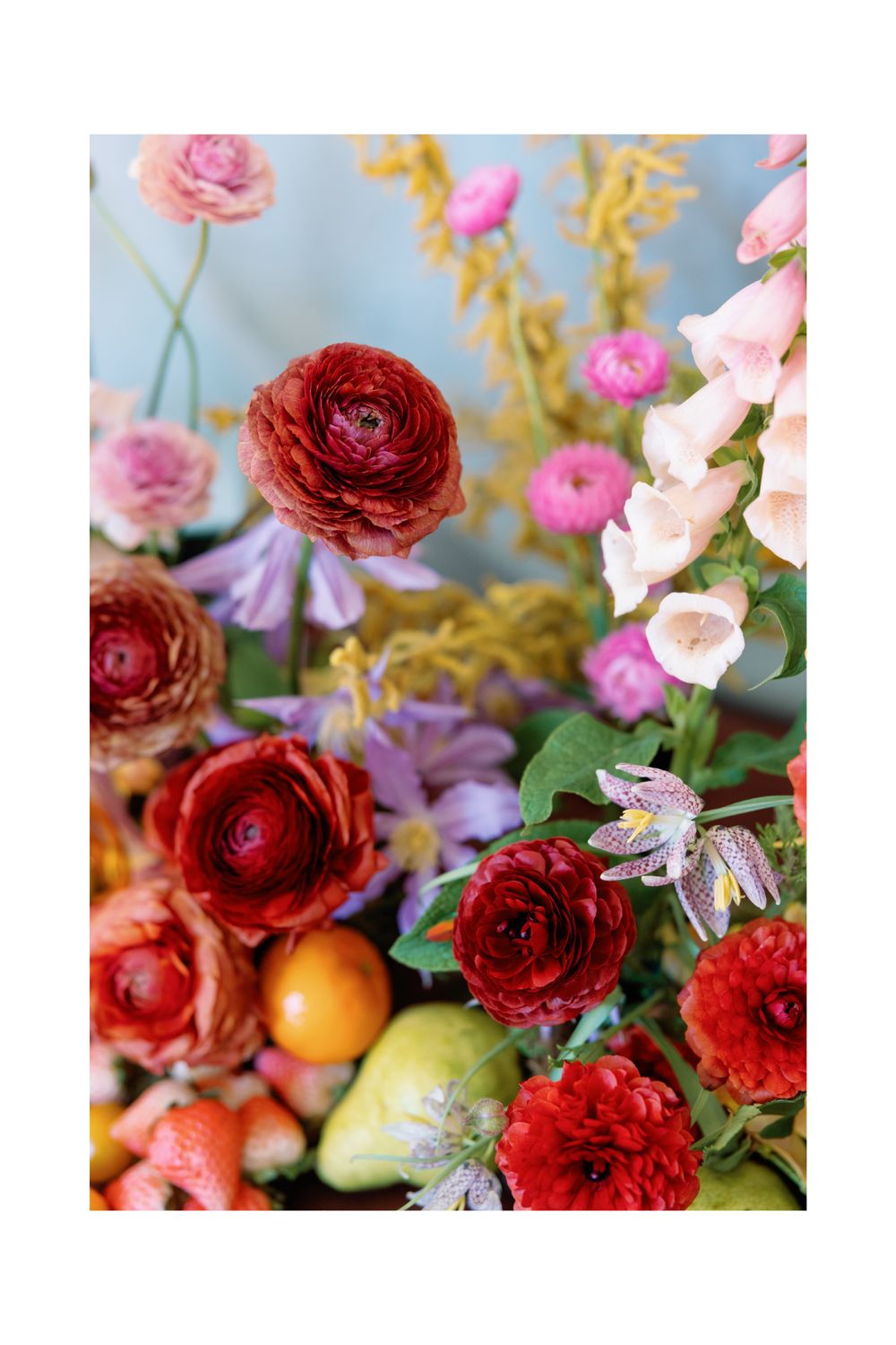 Close-up of deep red ranunculus blooms with pink flowers and citrus fruit in an elegant arrangement.