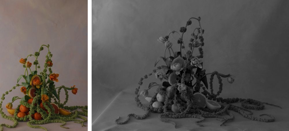 Side-by-side comparison of color and black-and-white floral still life arrangements.