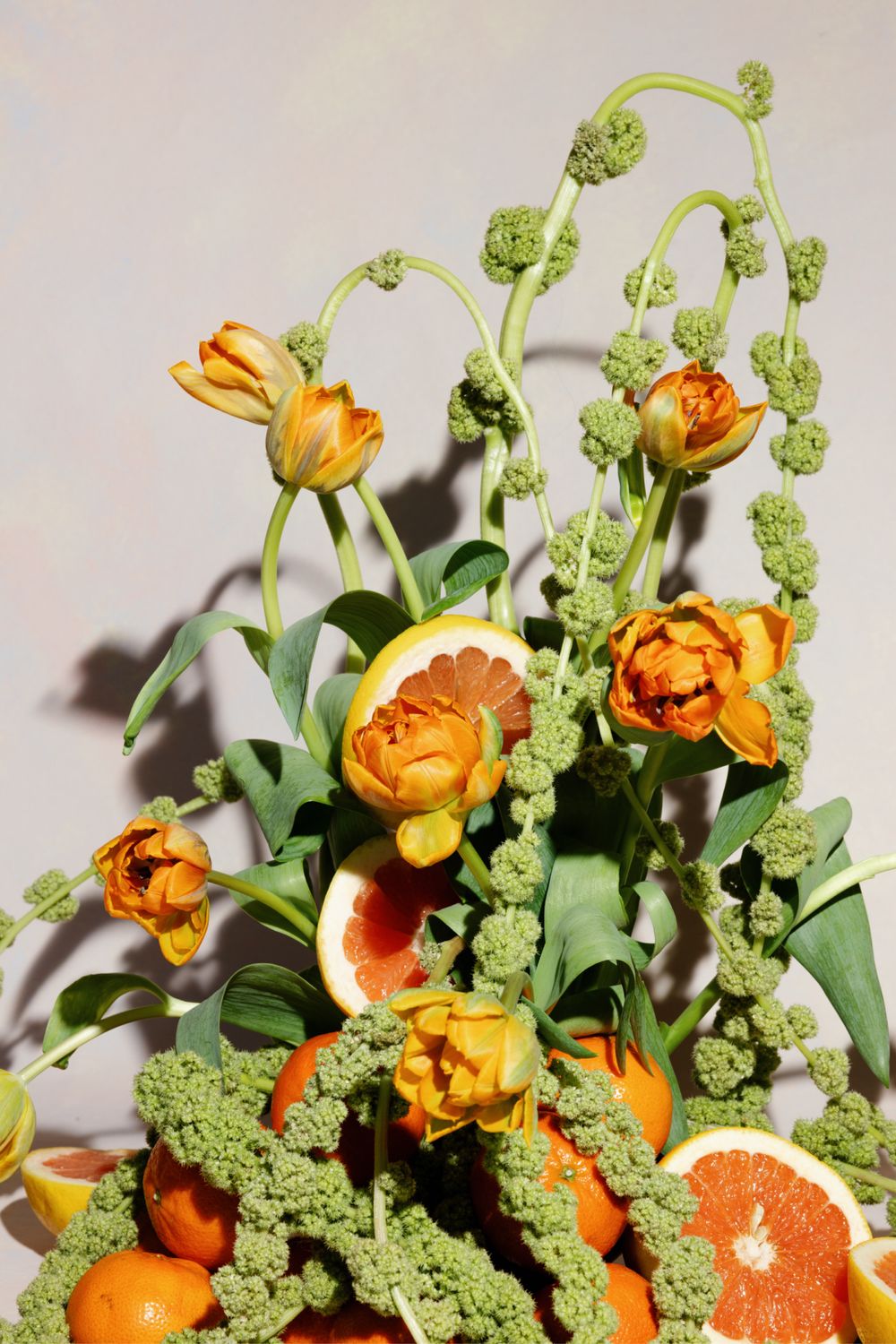 Orange tulips and green curly fiddleheads arranged with citrus fruits against light background.